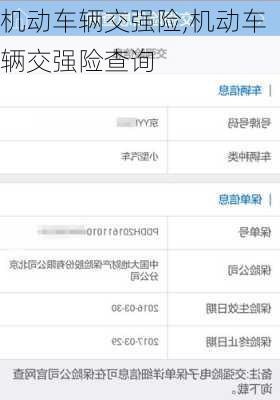 机动车辆交强险,机动车辆交强险查询
