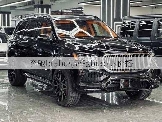 奔驰brabus,奔驰brabus价格