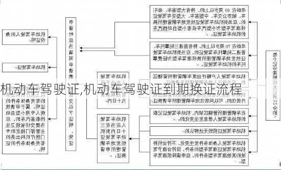 机动车驾驶证,机动车驾驶证到期换证流程