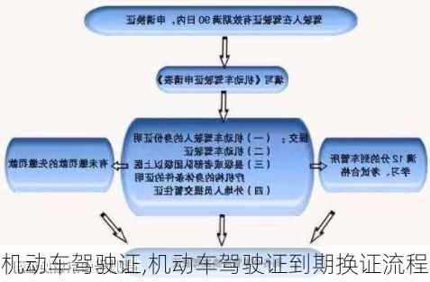 机动车驾驶证,机动车驾驶证到期换证流程