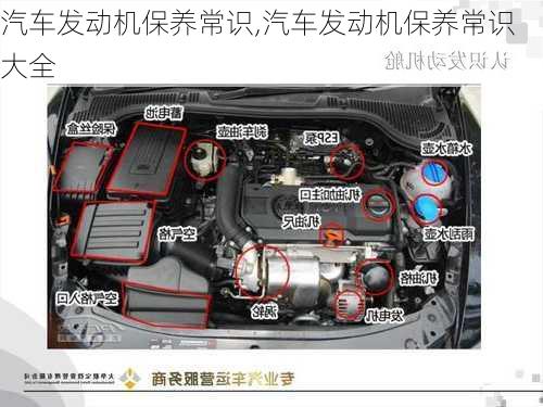 汽车发动机保养常识,汽车发动机保养常识大全