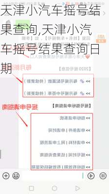 天津小汽车摇号结果查询,天津小汽车摇号结果查询日期