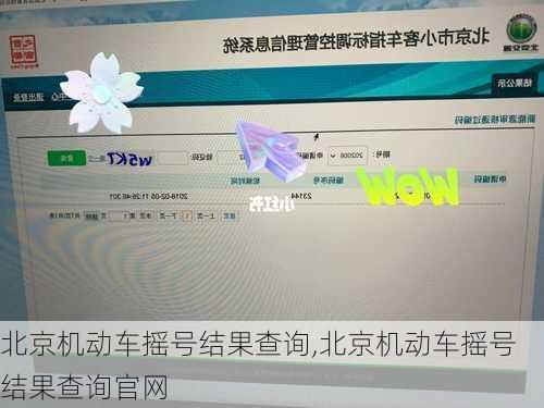 北京机动车摇号结果查询,北京机动车摇号结果查询官网