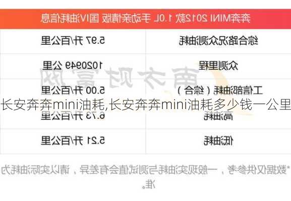 长安奔奔mini油耗,长安奔奔mini油耗多少钱一公里