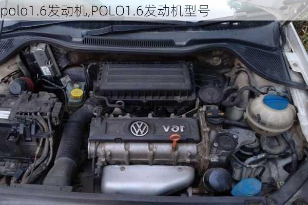 polo1.6发动机,POLO1.6发动机型号