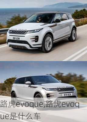 路虎evoque,路虎evoque是什么车