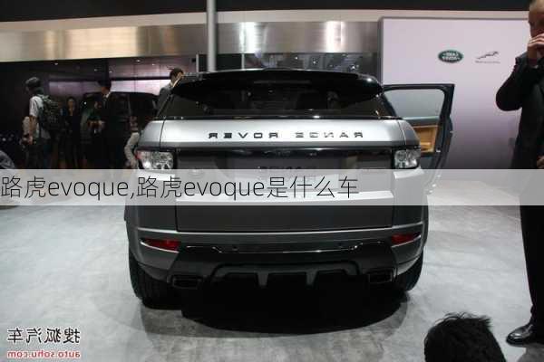 路虎evoque,路虎evoque是什么车