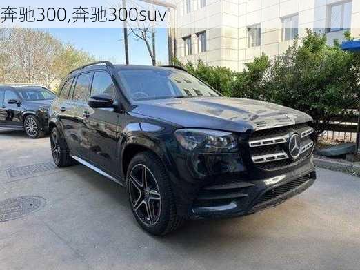 奔驰300,奔驰300suv