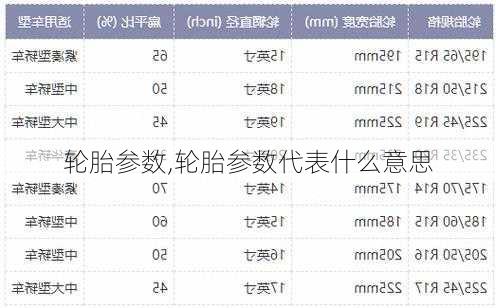 轮胎参数,轮胎参数代表什么意思