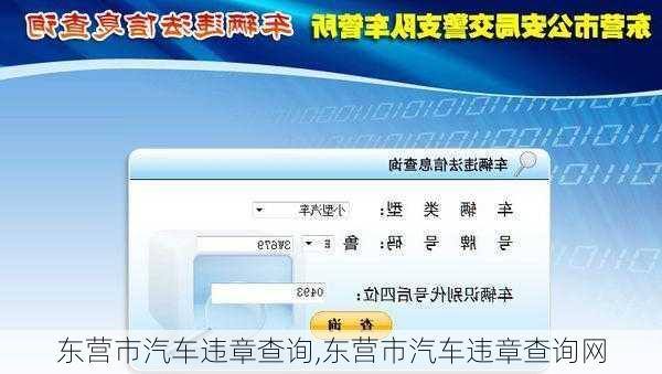东营市汽车违章查询,东营市汽车违章查询网