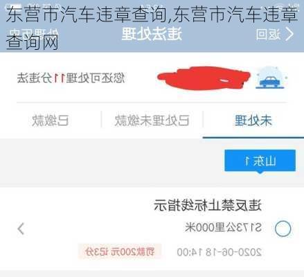 东营市汽车违章查询,东营市汽车违章查询网