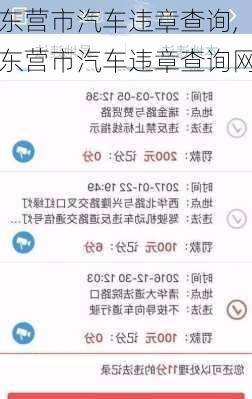 东营市汽车违章查询,东营市汽车违章查询网