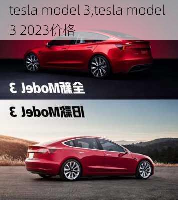 tesla model 3,tesla model 3 2023价格