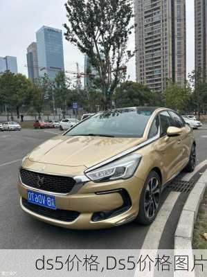 ds5价格,Ds5价格图片