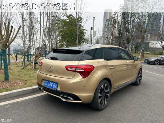 ds5价格,Ds5价格图片