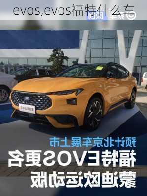 evos,evos福特什么车