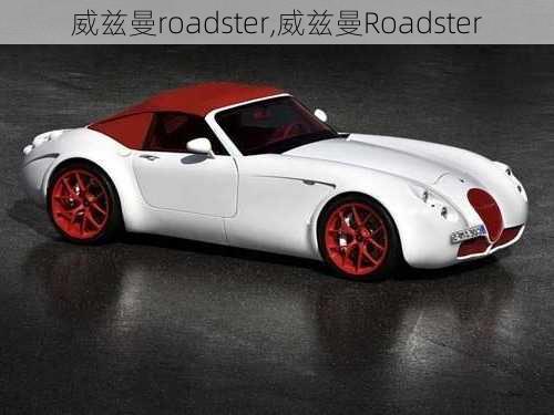 威兹曼roadster,威兹曼Roadster