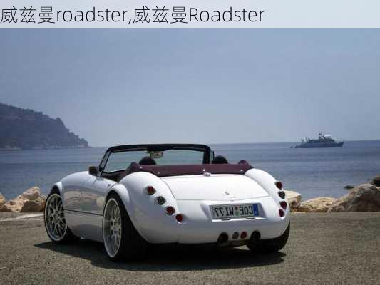 威兹曼roadster,威兹曼Roadster