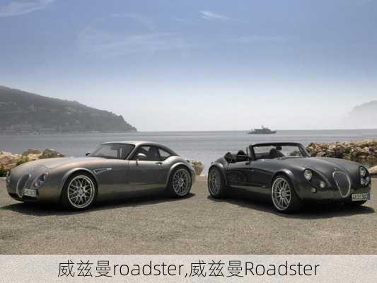 威兹曼roadster,威兹曼Roadster