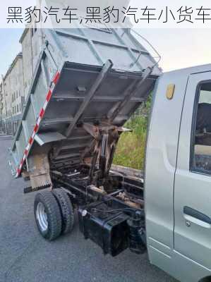 黑豹汽车,黑豹汽车小货车