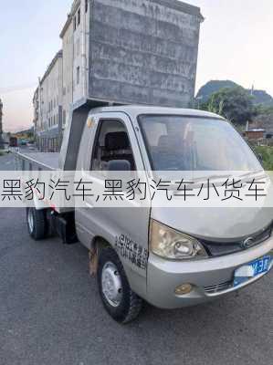 黑豹汽车,黑豹汽车小货车