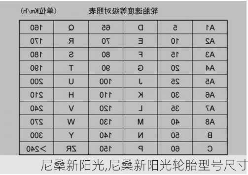 尼桑新阳光,尼桑新阳光轮胎型号尺寸