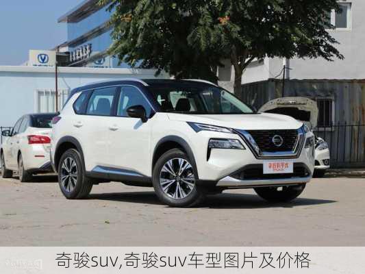 奇骏suv,奇骏suv车型图片及价格