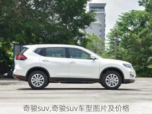 奇骏suv,奇骏suv车型图片及价格