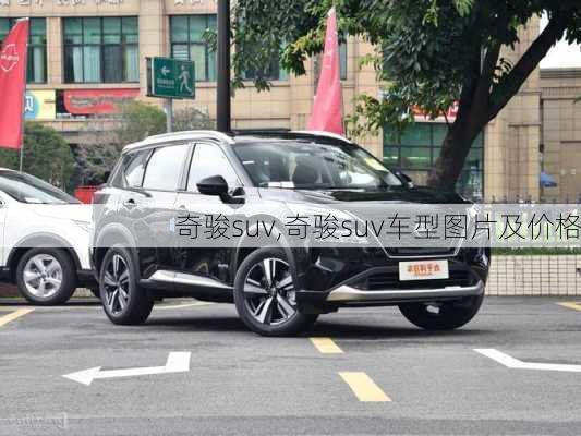 奇骏suv,奇骏suv车型图片及价格