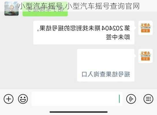 小型汽车摇号,小型汽车摇号查询官网