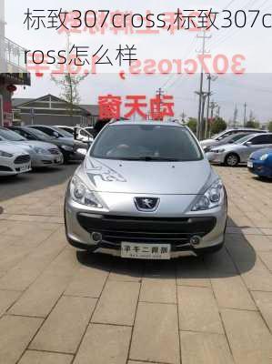 标致307cross,标致307cross怎么样