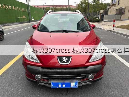 标致307cross,标致307cross怎么样