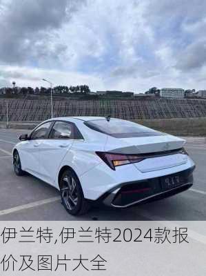 伊兰特,伊兰特2024款报价及图片大全