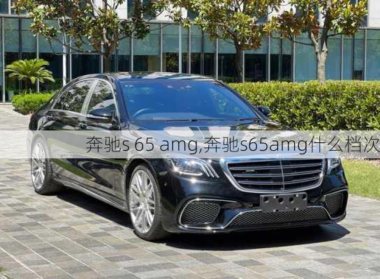 奔驰s 65 amg,奔驰s65amg什么档次