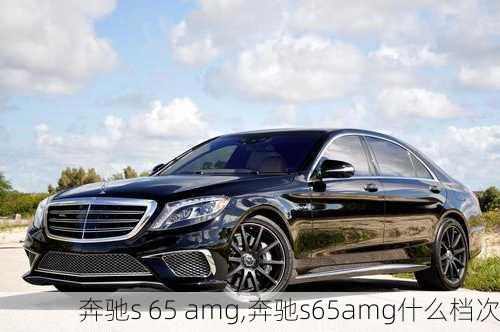 奔驰s 65 amg,奔驰s65amg什么档次