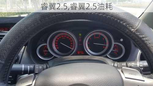 睿翼2.5,睿翼2.5油耗