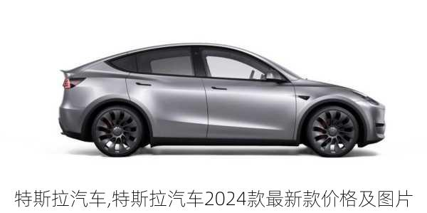 特斯拉汽车,特斯拉汽车2024款最新款价格及图片