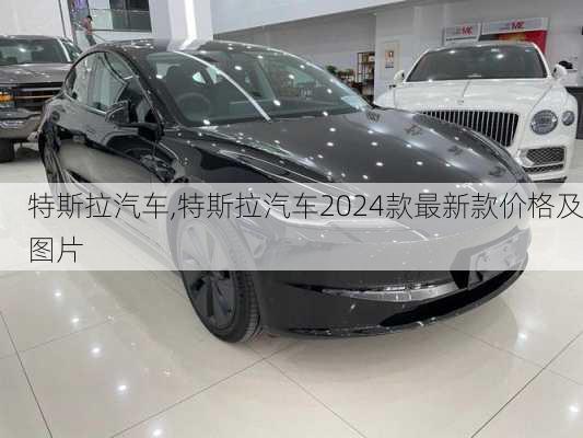 特斯拉汽车,特斯拉汽车2024款最新款价格及图片