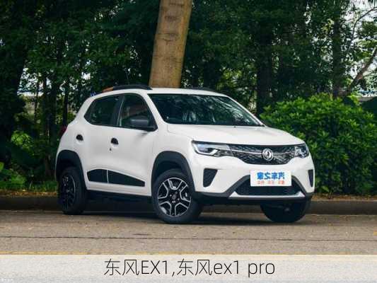 东风EX1,东风ex1 pro