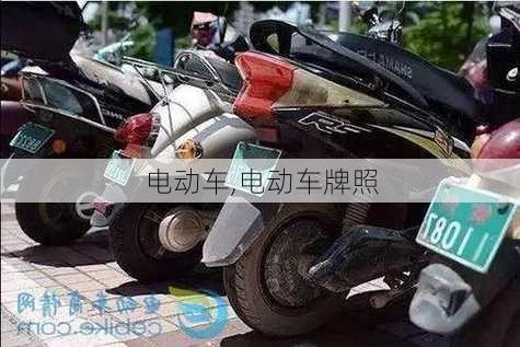 电动车,电动车牌照