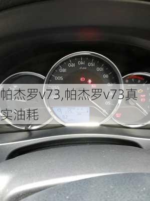 帕杰罗v73,帕杰罗v73真实油耗