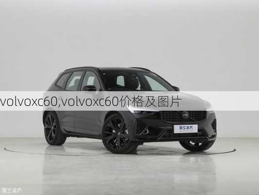 volvoxc60,volvoxc60价格及图片