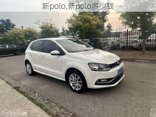 新polo,新polo多少钱