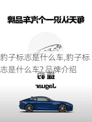 豹子标志是什么车,豹子标志是什么车? 品牌介绍