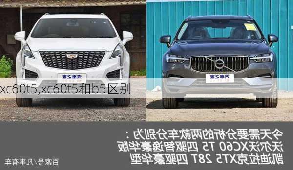 xc60t5,xc60t5和b5区别