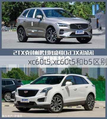 xc60t5,xc60t5和b5区别