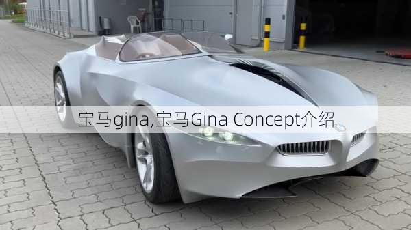 宝马gina,宝马Gina Concept介绍