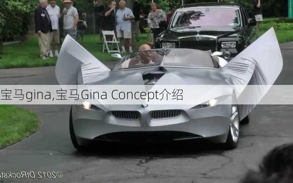 宝马gina,宝马Gina Concept介绍