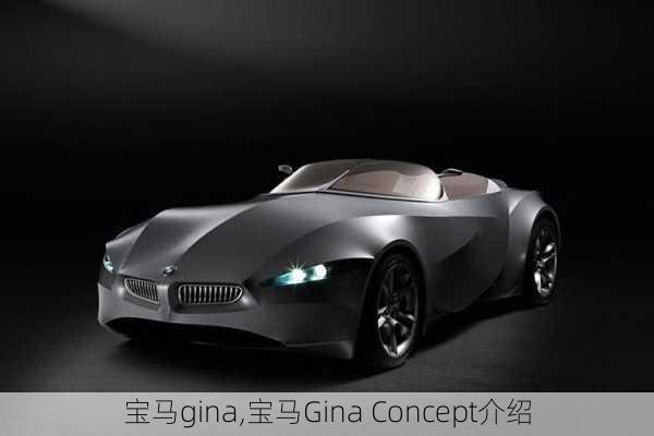 宝马gina,宝马Gina Concept介绍