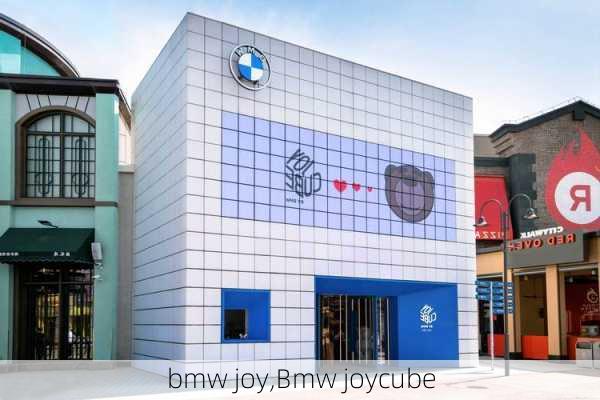 bmw joy,Bmw joycube